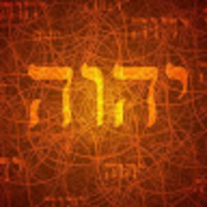 Meet your Posher, Vince